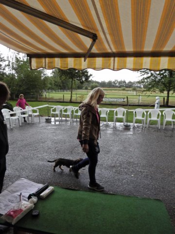 Zuchtschau 08.09.2019